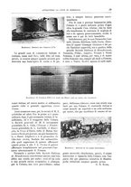 giornale/TO00189526/1903-1904/unico/00000057