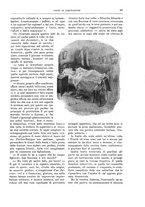giornale/TO00189526/1903-1904/unico/00000107