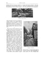 giornale/TO00189526/1903-1904/unico/00000182