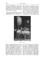 giornale/TO00189526/1903-1904/unico/00000184