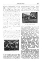 giornale/TO00189526/1903-1904/unico/00000283