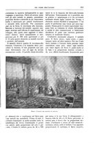 giornale/TO00189526/1903-1904/unico/00000307