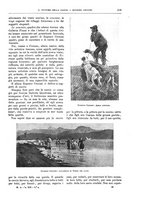 giornale/TO00189526/1903-1904/unico/00000381