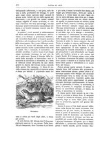 giornale/TO00189526/1903-1904/unico/00000548