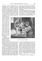 giornale/TO00189526/1903-1904/unico/00000553