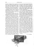 giornale/TO00189526/1903/unico/00000282