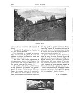 giornale/TO00189526/1903/unico/00000450