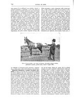 giornale/TO00189526/1903/unico/00000828