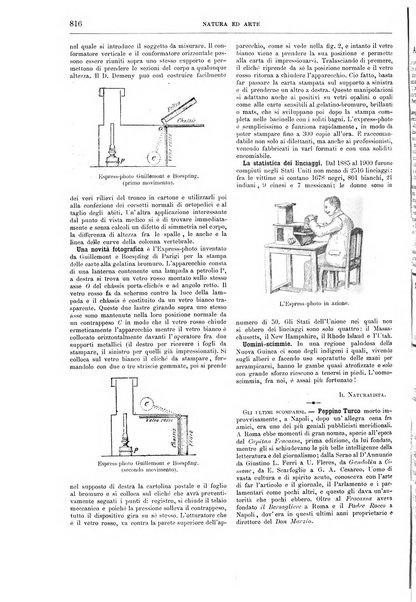 Natura ed arte rivista illustrata quindicinale italiana e straniera di scienze, lettere ed arti