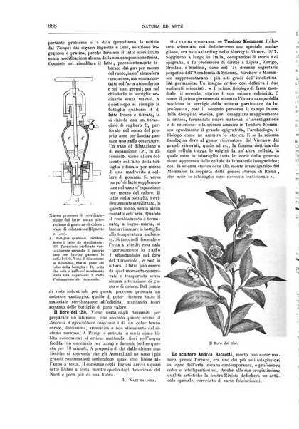 Natura ed arte rivista illustrata quindicinale italiana e straniera di scienze, lettere ed arti