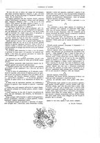 giornale/TO00189526/1903/unico/00001053