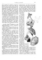 giornale/TO00189526/1904-1905/unico/00000035