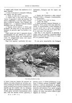 giornale/TO00189526/1904-1905/unico/00000047