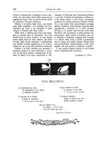 giornale/TO00189526/1904-1905/unico/00000167