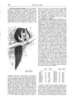 giornale/TO00189526/1904-1905/unico/00000203