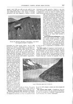 giornale/TO00189526/1904-1905/unico/00000204