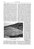 giornale/TO00189526/1904-1905/unico/00000207