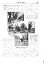 giornale/TO00189526/1904-1905/unico/00000230