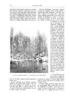 giornale/TO00189526/1904-1905/unico/00000231