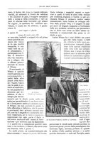 giornale/TO00189526/1904-1905/unico/00000232