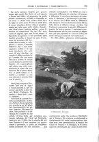 giornale/TO00189526/1904-1905/unico/00000264