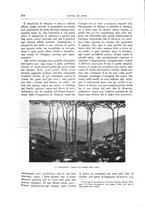 giornale/TO00189526/1904-1905/unico/00000267