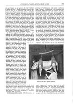 giornale/TO00189526/1904-1905/unico/00000284