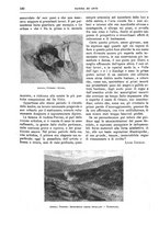 giornale/TO00189526/1904-1905/unico/00000417