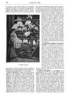 giornale/TO00189526/1904-1905/unico/00000447