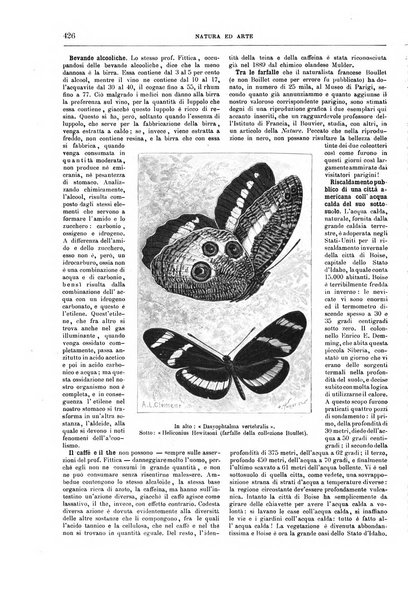 Natura ed arte rivista illustrata quindicinale italiana e straniera di scienze, lettere ed arti