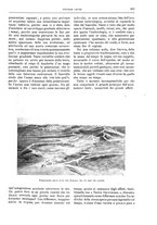 giornale/TO00189526/1904-1905/unico/00000519