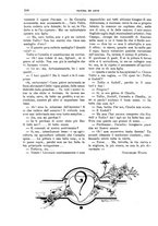 giornale/TO00189526/1904-1905/unico/00000674
