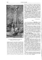 giornale/TO00189526/1904-1905/unico/00000728