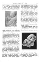 giornale/TO00189526/1904-1905/unico/00000869