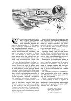giornale/TO00189526/1904-1905/unico/00000896