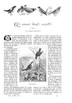 giornale/TO00189526/1904-1905/unico/00000917