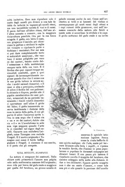 Natura ed arte rivista illustrata quindicinale italiana e straniera di scienze, lettere ed arti