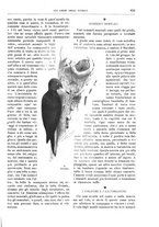 giornale/TO00189526/1904-1905/unico/00000921