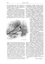 giornale/TO00189526/1904-1905/unico/00000924