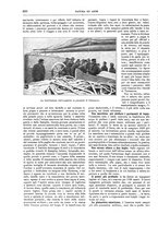 giornale/TO00189526/1904-1905/unico/00000952