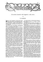 giornale/TO00189526/1904-1905/unico/00000980
