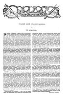 giornale/TO00189526/1904-1905/unico/00000995