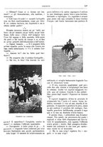 giornale/TO00189526/1904/unico/00000233