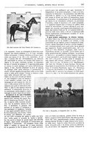 giornale/TO00189526/1904/unico/00000243