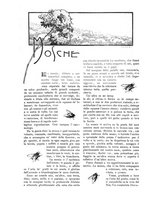 giornale/TO00189526/1904/unico/00000264