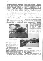 giornale/TO00189526/1904/unico/00000388