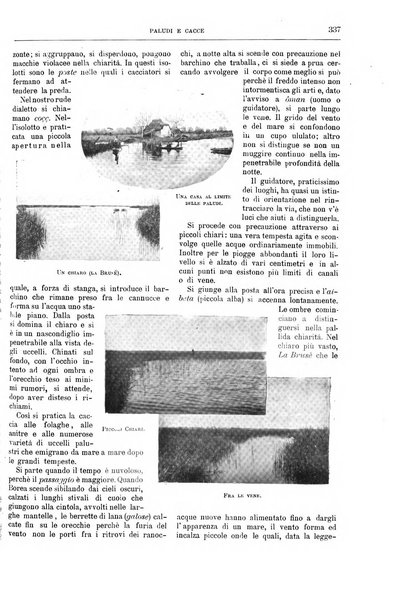 Natura ed arte rivista illustrata quindicinale italiana e straniera di scienze, lettere ed arti