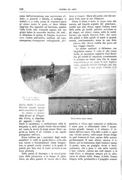 Natura ed arte rivista illustrata quindicinale italiana e straniera di scienze, lettere ed arti