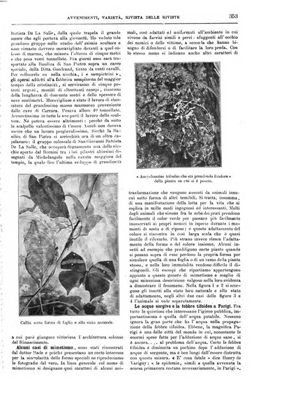 Natura ed arte rivista illustrata quindicinale italiana e straniera di scienze, lettere ed arti