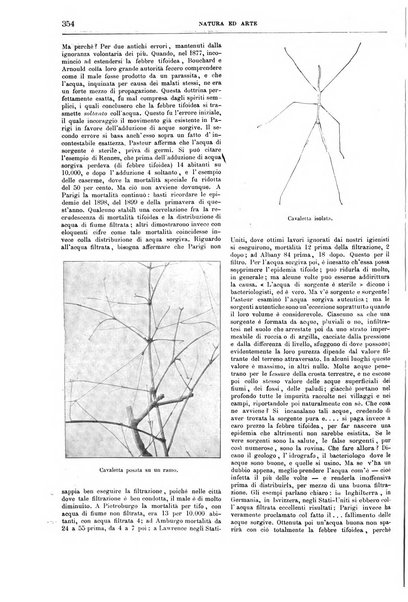 Natura ed arte rivista illustrata quindicinale italiana e straniera di scienze, lettere ed arti